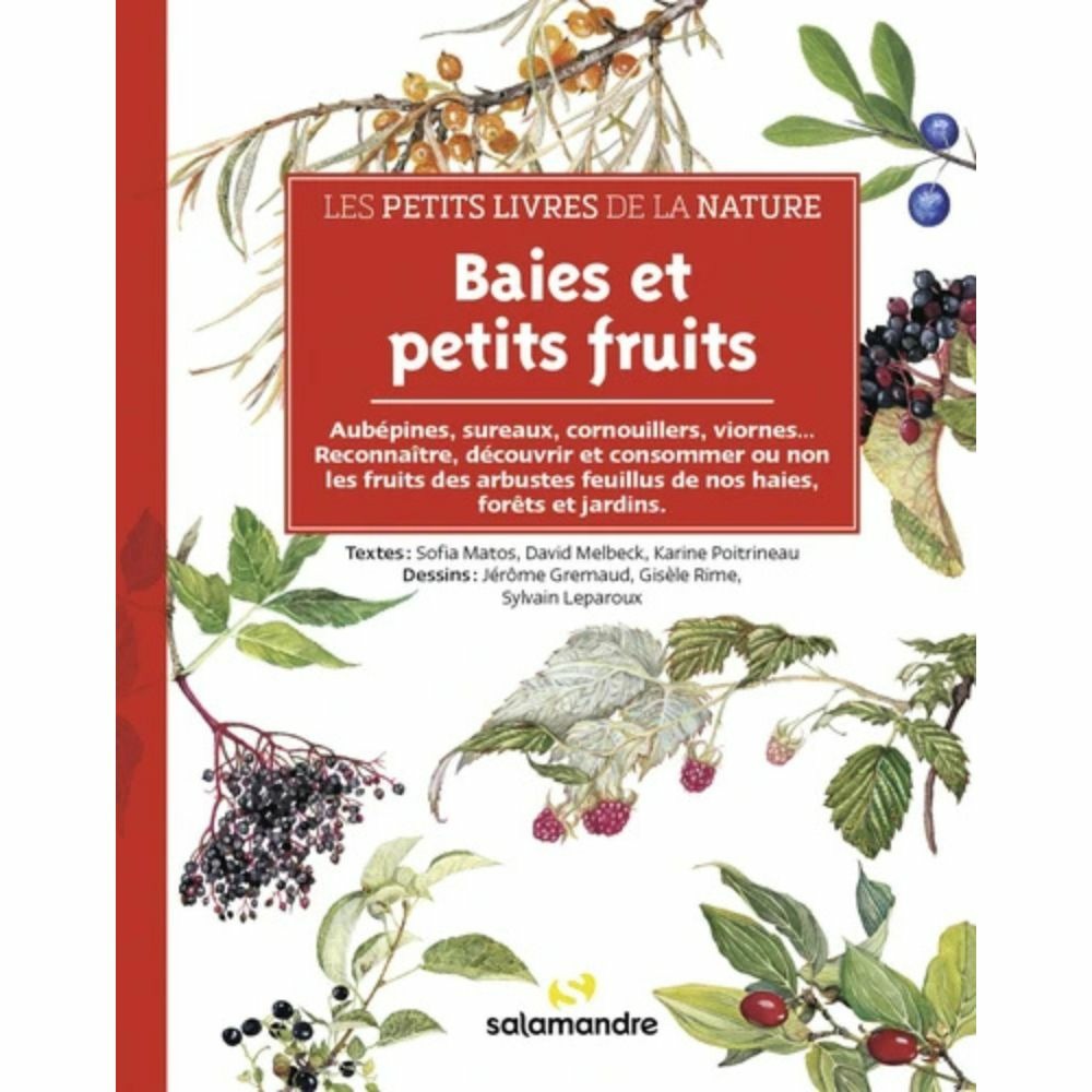 Les petits livres de la nature - baies et petits fruits