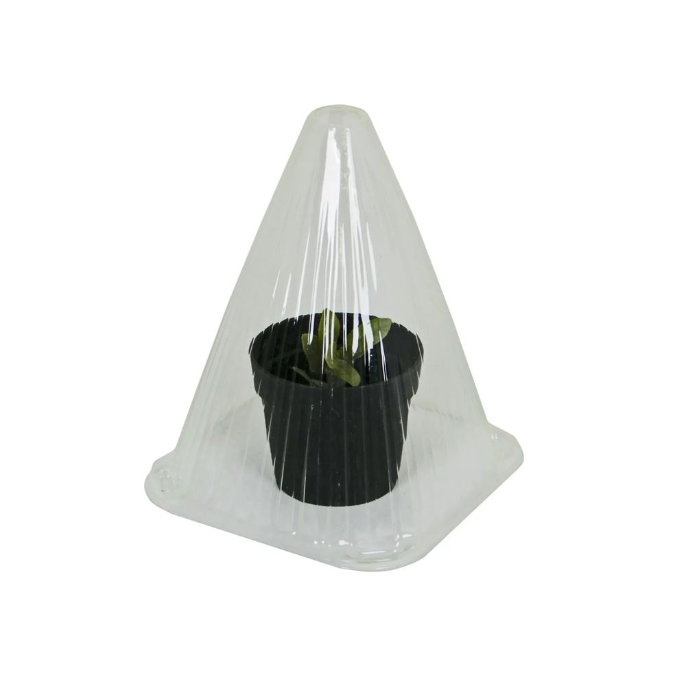 Cloches de culture pour semis, 10 pièces