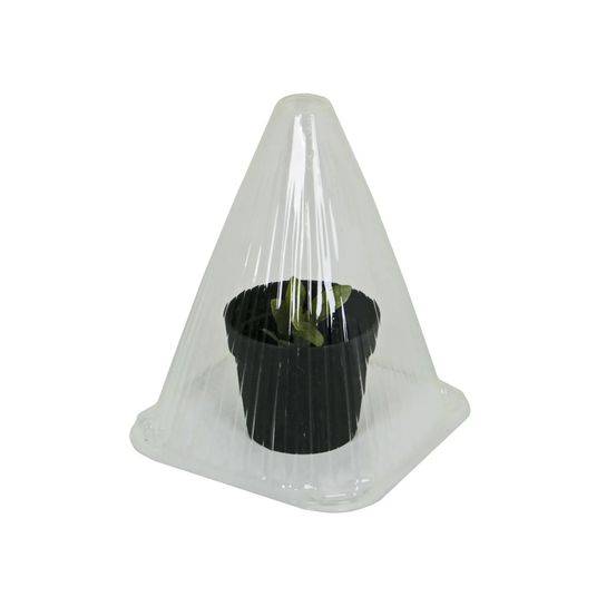 Cloches de culture pour semis, 10 pièces