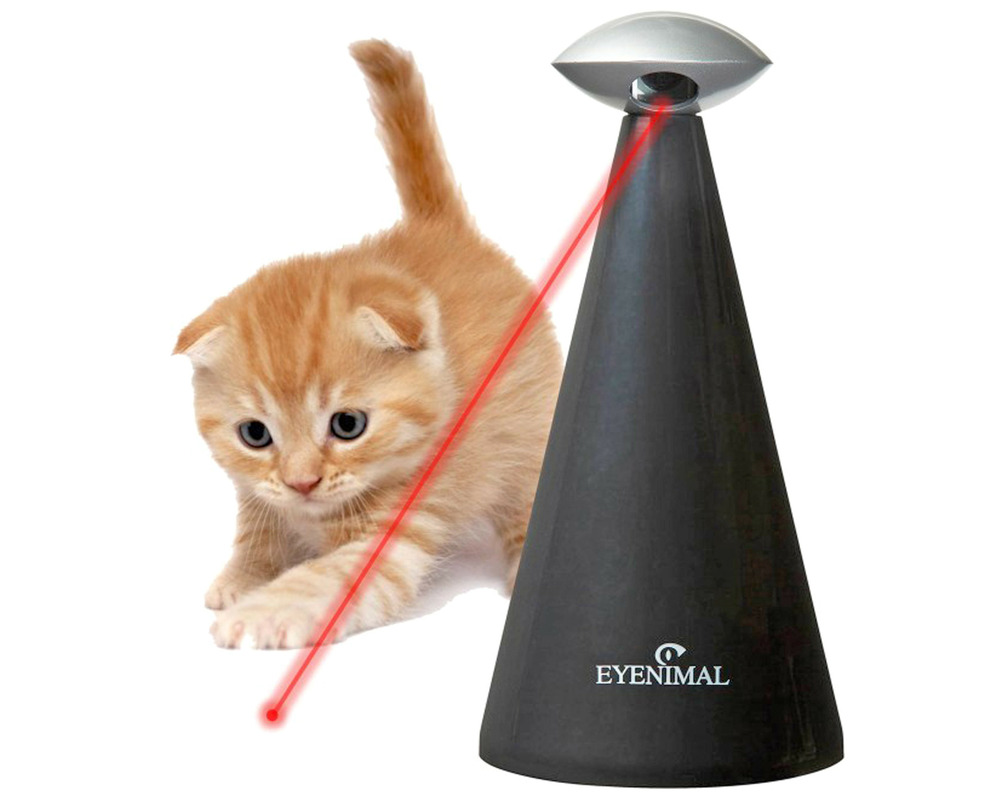 Jouet laser automatique pour chat automatic laser • jeu chat