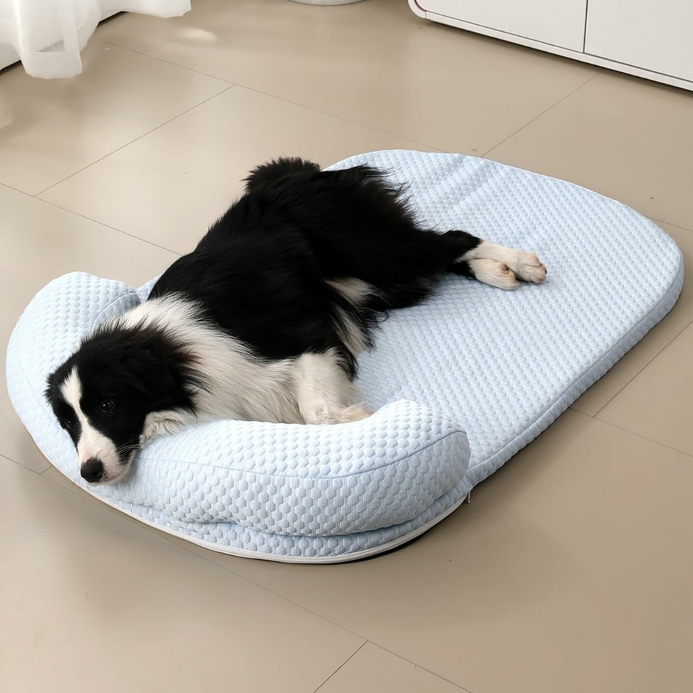 Panier chien orthopedique bleu m