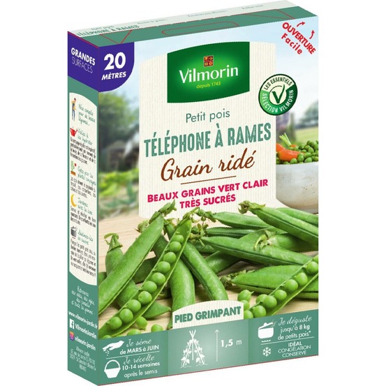Graines de petit pois telephone a rames grain ridé 20 mètres