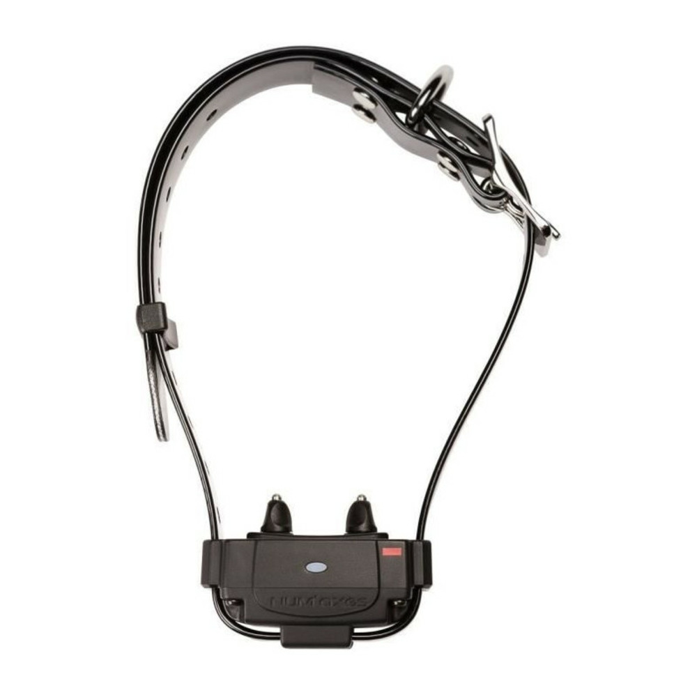 Collier anti-fugue - num'axes - canifugue fug1034 - noir