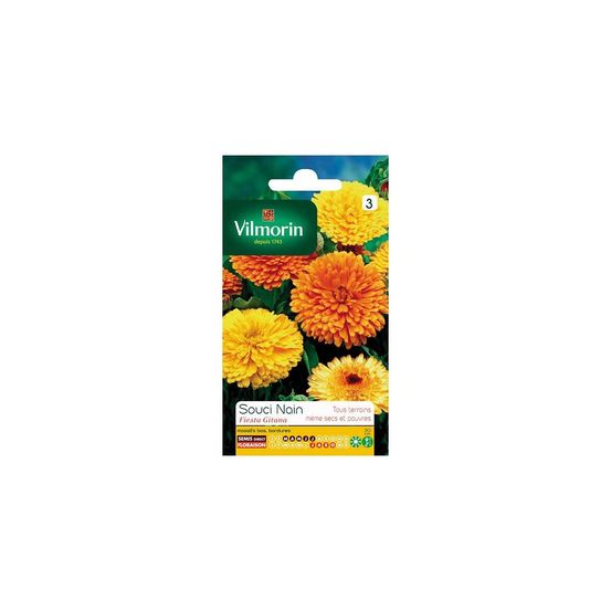 Sachet graines souci nain fiesta gitana