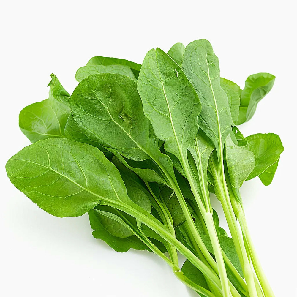 200 graines d'oseille - semisauvage permaculture