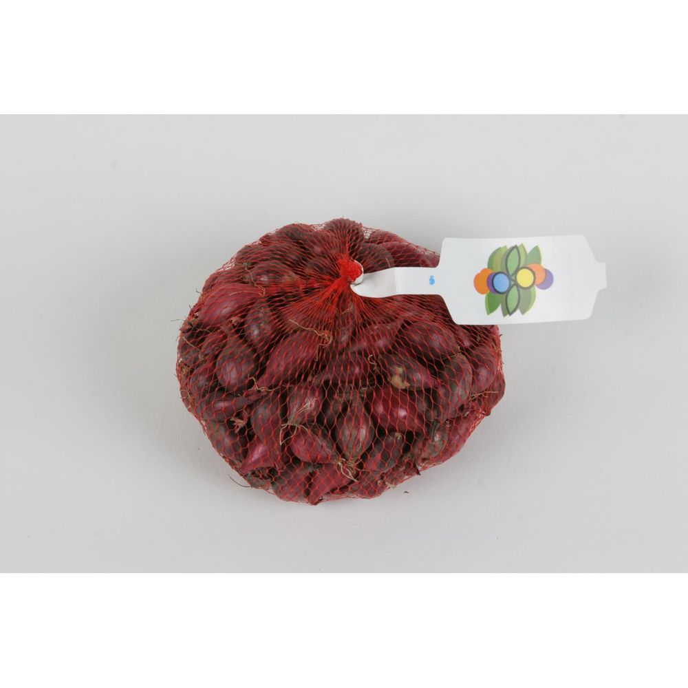Oignon rouge - 250 g