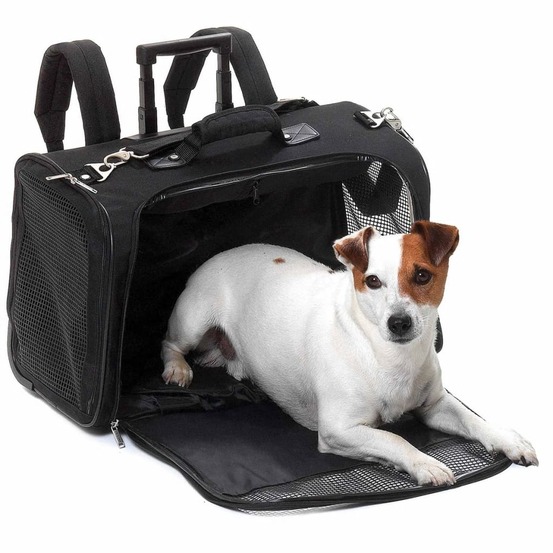 Sac de transport animaux de compagnie noir 54x25,5x36,5 cm