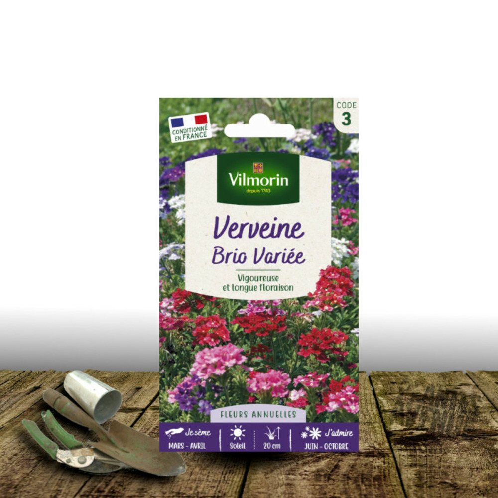 Graines de verveine brio variée - vilmorin sachet