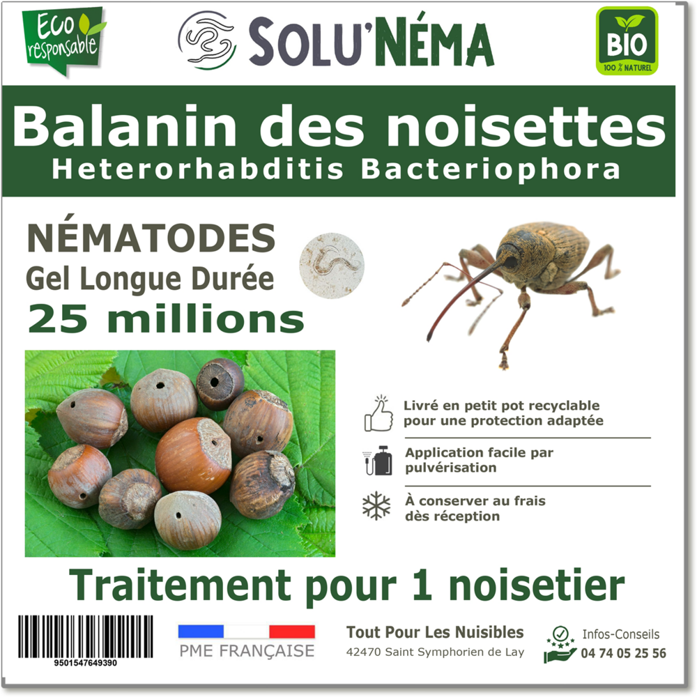 Solunéma - Balanin des noisettes- Nématodes Heterorhabditis Bacteriophora (HB) 25 millions pour 1 noisetier