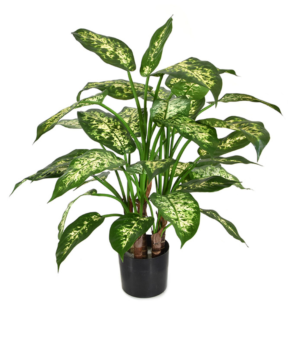 Dieffenbachia deluxe plante artificielle 60 cm