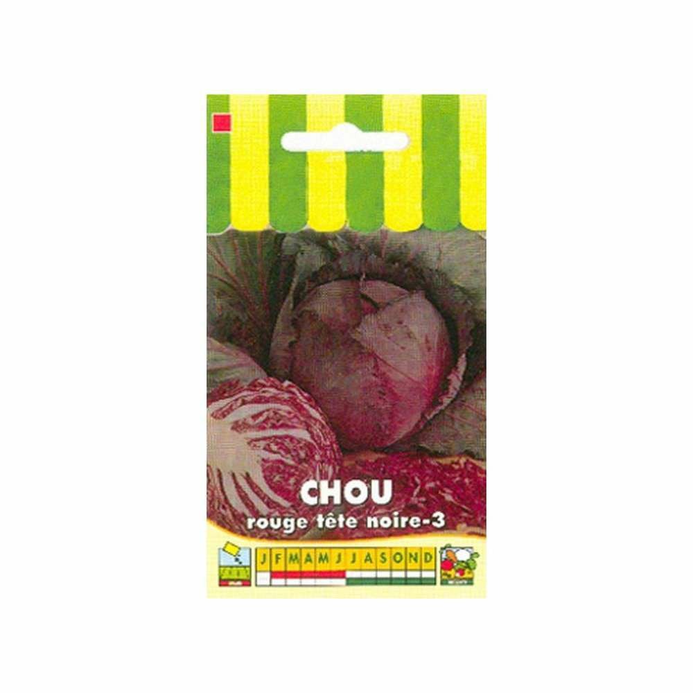 Chou rouge tÃªte noire-3