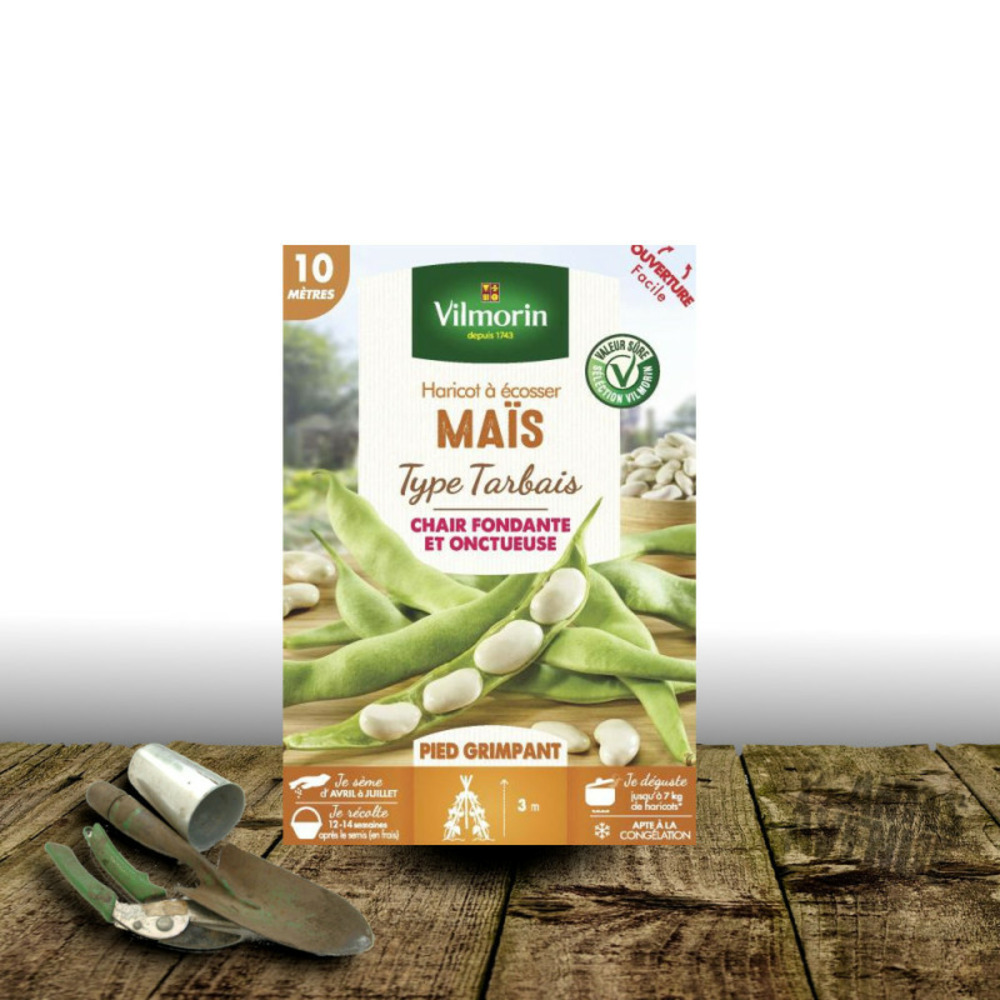 Graines de haricot nain à écosser maïs - vilmorin boite - 10 mètres