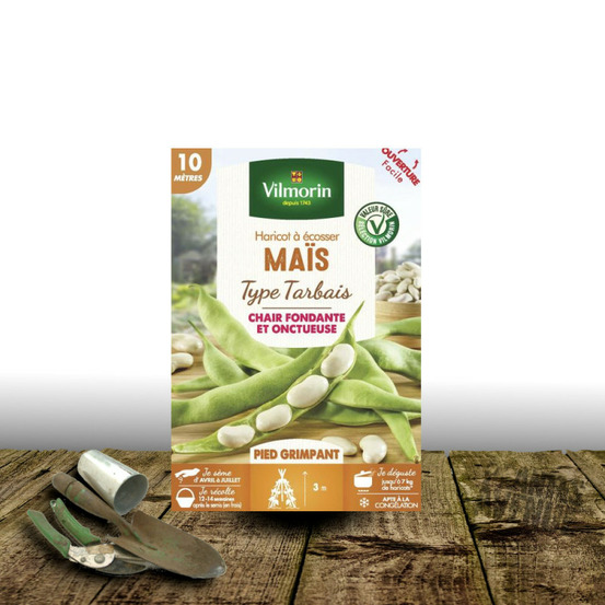 Graines de haricot nain à écosser maïs - vilmorin boite - 10 mètres