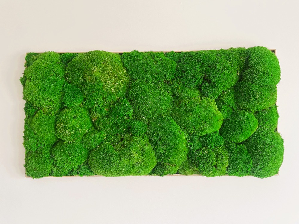 Tableau végétal stabilisé Mousse boule- tableau végétal - décoration d'intérieur - 60*30 cm