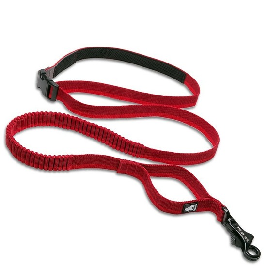 Longe élastique chien Capture - Taille L élastique entre 200 et 340 cm- Rouge