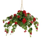 Mica decorations plante artificielle gernium - 60x70x33 cm - polyester - rouge