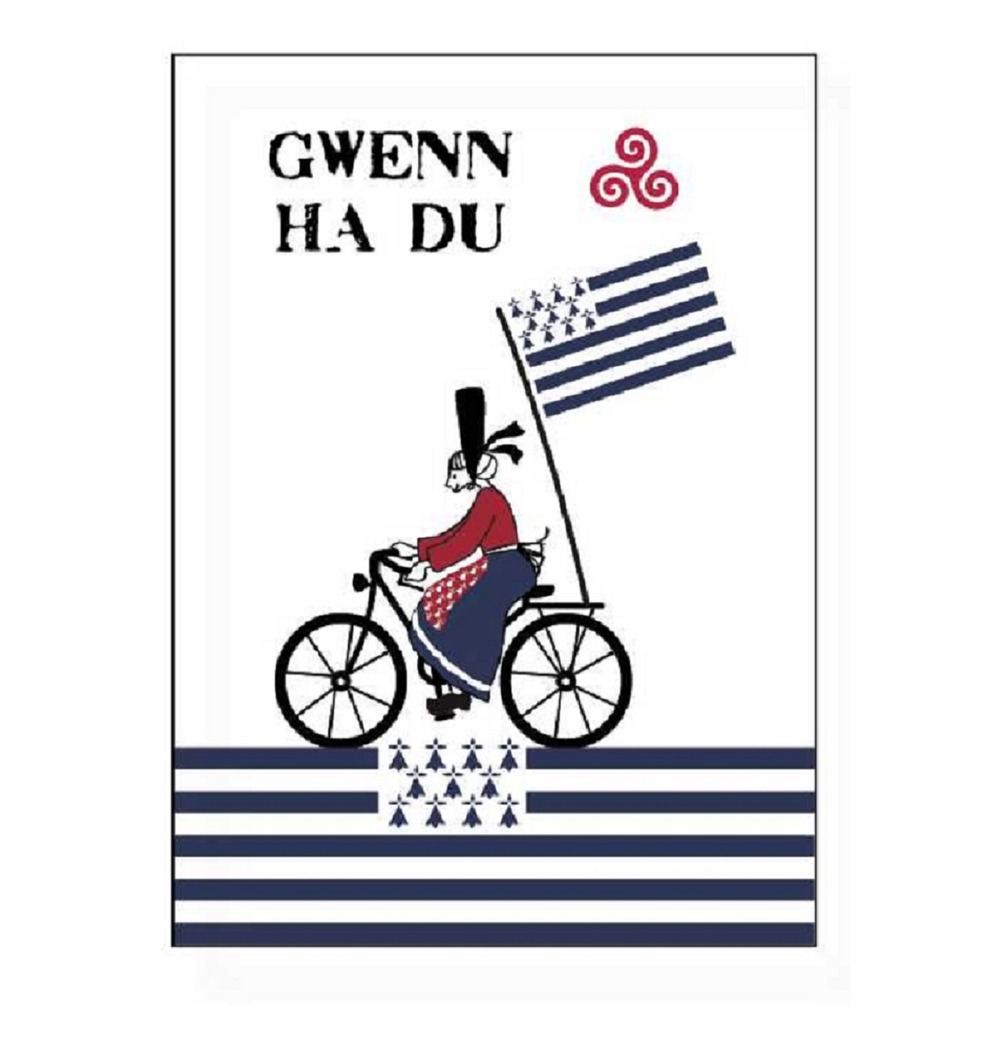 Lot de 2 torchon bigouden a velo