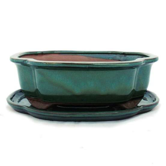 Bol bonsaï avec soucoupe taille 4 - vert - haitang/ovale - modèle i4 - l 26cm - b 20,5cm - h 8,5cm