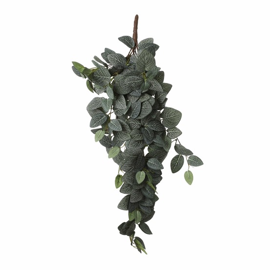 Mica decorations plante artificielle - chute de fittonia artificielle - h54 cm - vert