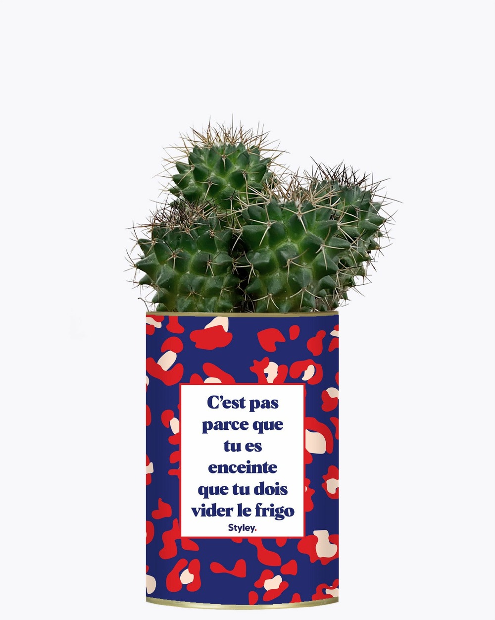 Plante facile à entretenir - c'est pas parce que tu es enceinte que tu dois vider le frigo - plante