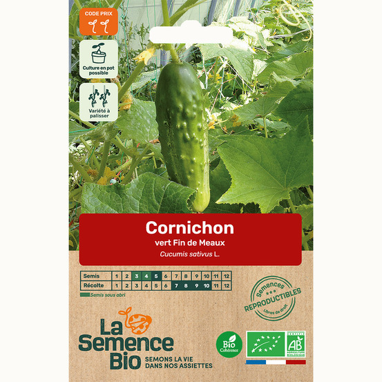 Cornichon vert fin de meaux - graines bio