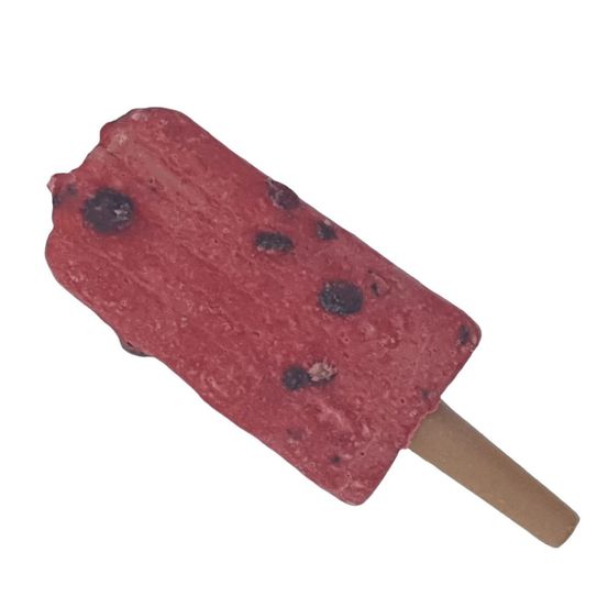 Snack friandise ice pop myrtilles rouge 55 g pour chien