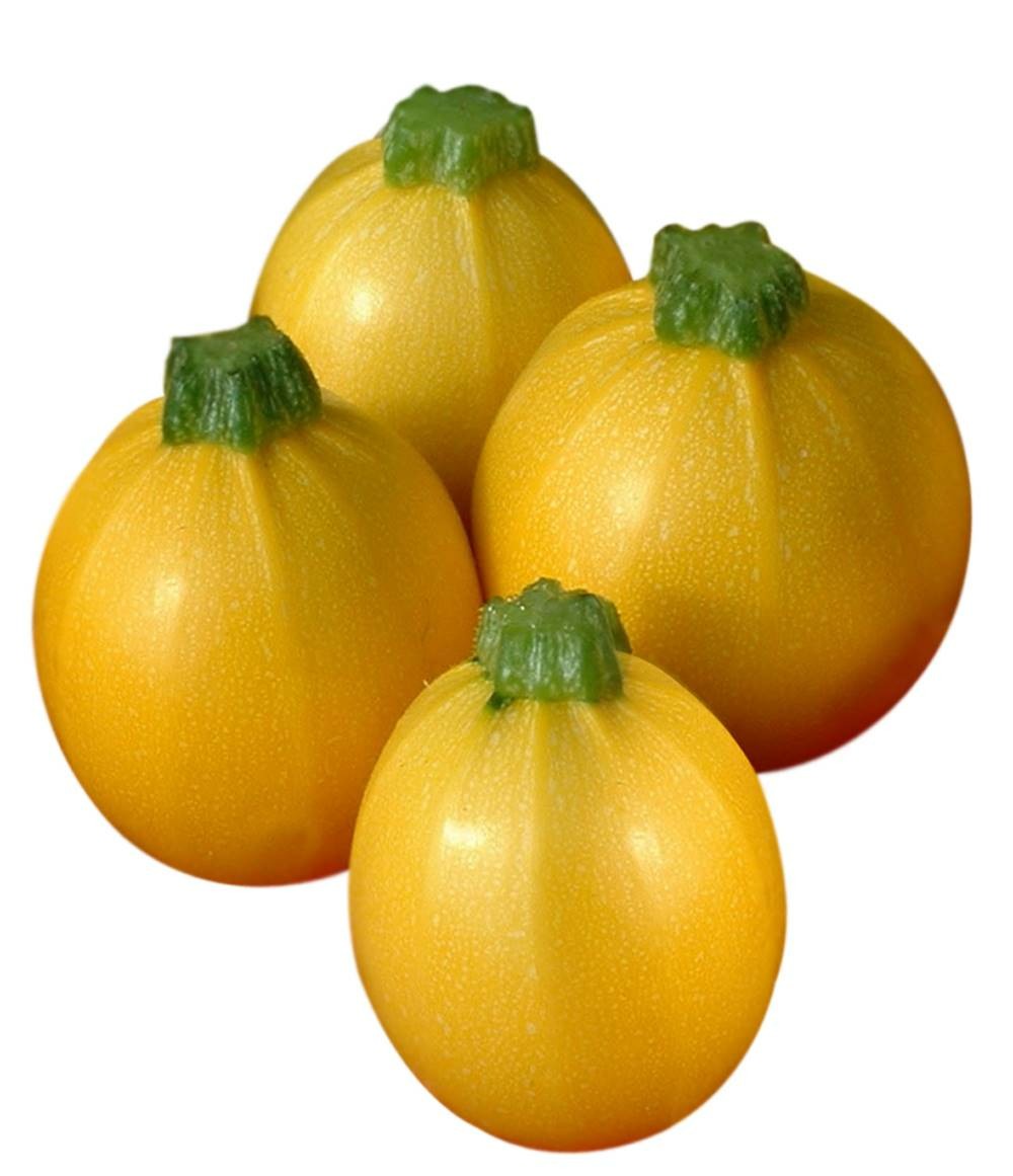 Courgette floridor hf1 - 20 semences