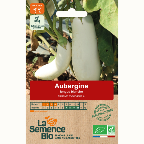 Aubergine longue blanche - graines bio