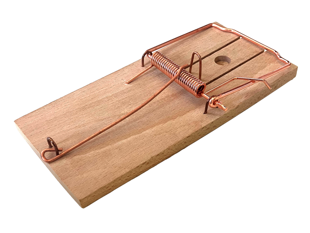 Tapette a souris en bois fsc - utilisation facile - permet d'identifier le type de rongeur - réutilisable castafsc