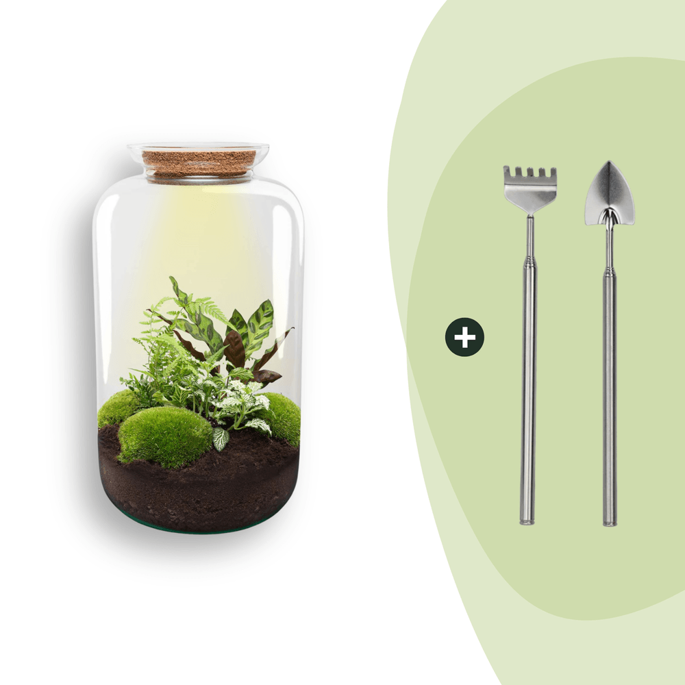 Terrarium à composer bouteille en verre recyclé - ø23-h43cm - avec râteau et pelle - terrarium diy