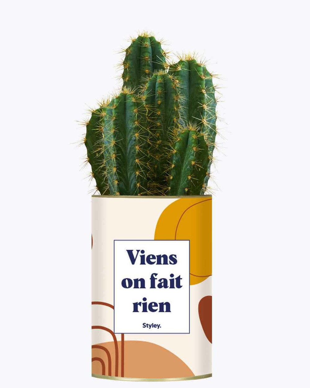 Idée cadeau - viens on fait rien - cactus