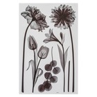 Sticker "fleurs" - 32x50 cm
