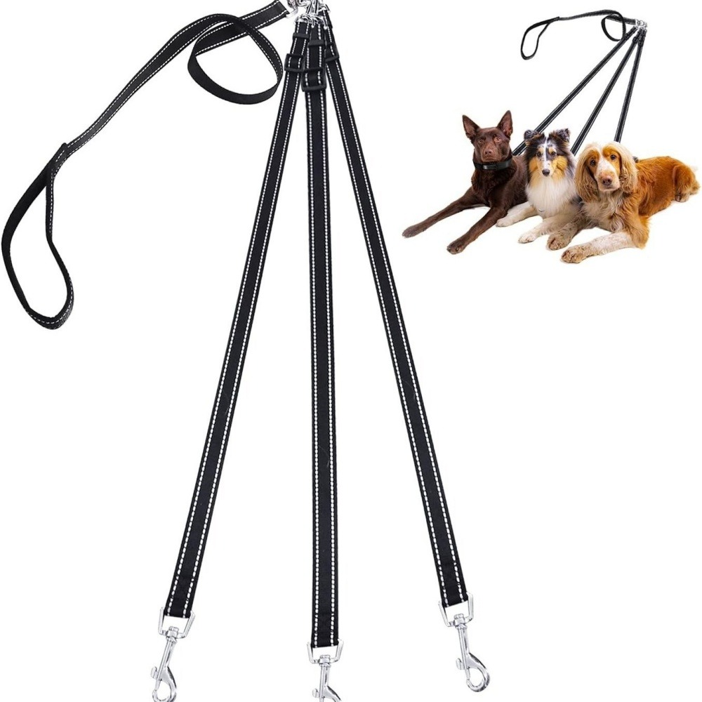 Laisse pour chien 3 têtes