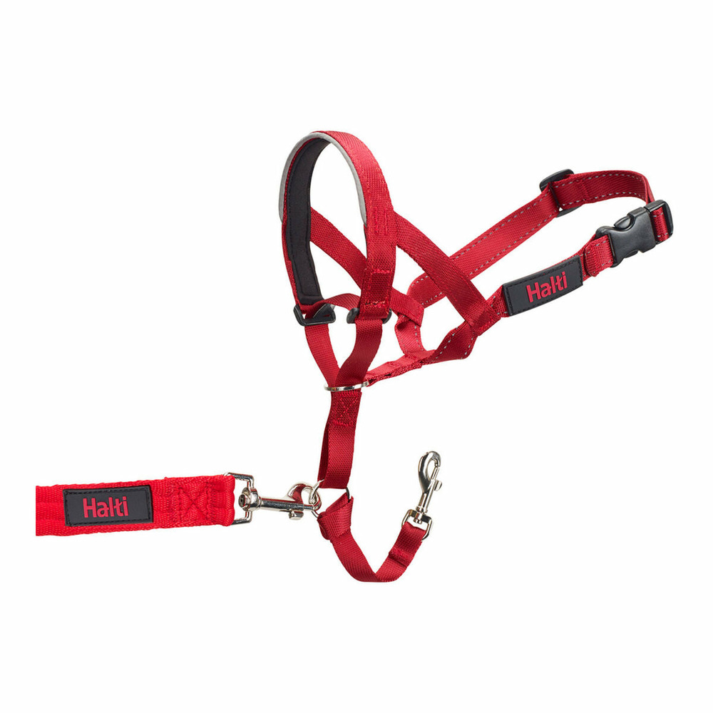 Collier d'entraînement pour chiens company of animals halti muselière (31-40 cm)
