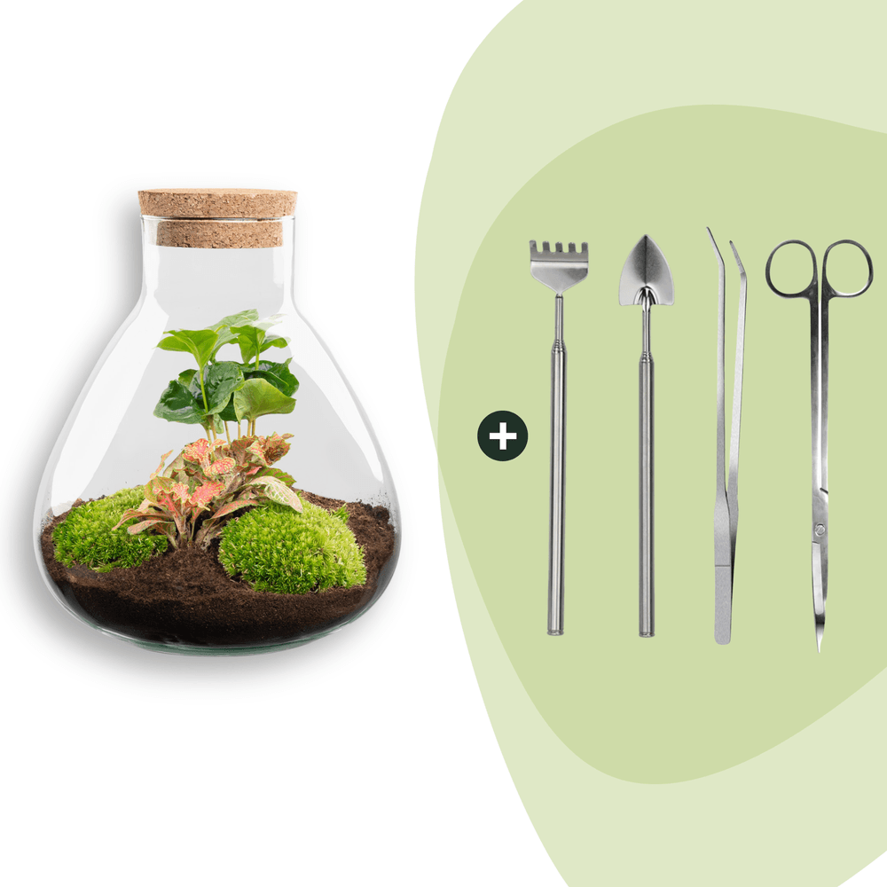 Terrarium à composer bouteille en verre recyclé - ø22-h26cm - avec kit 4 outils - terrarium diy