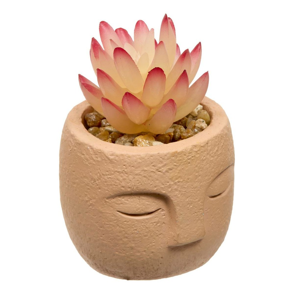 Plante artificielle teri 9 cm avec pot visage
