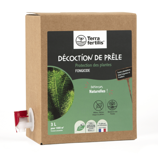 Décoction de prêle - formule concentrée 3l