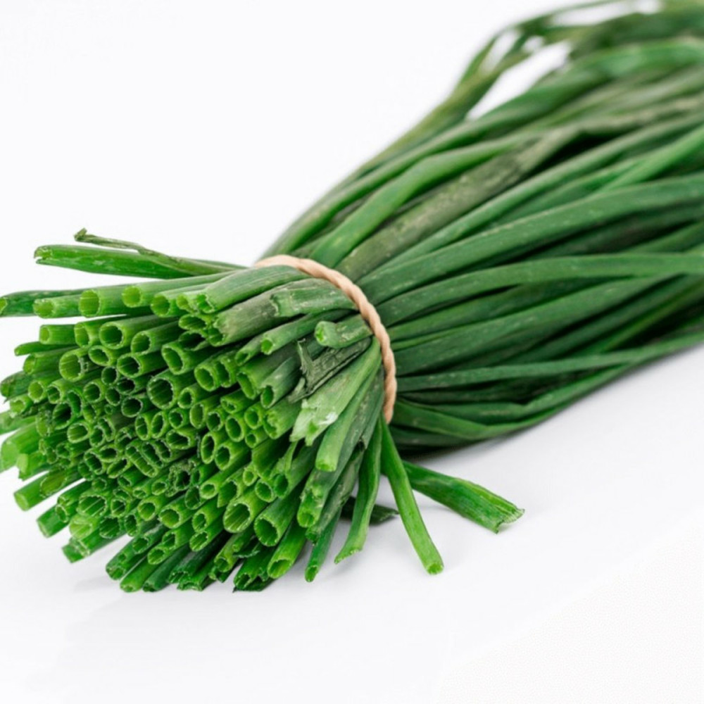 Ciboulette - prêt à consommer pot de 1,5l - 10/20 cm