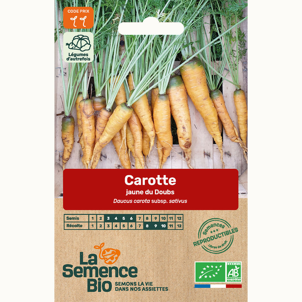 Carotte jaune du doubs - graines bio