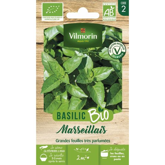 Basilic marseillais - bio