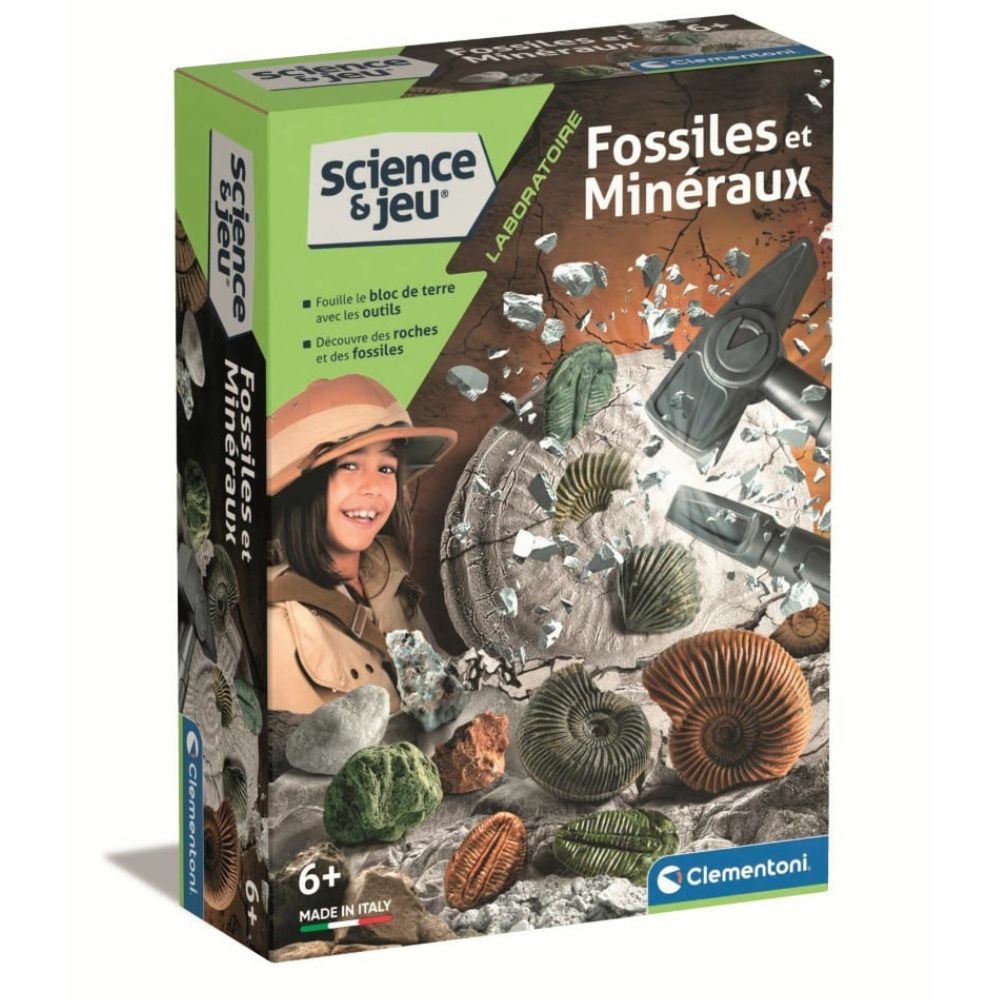 Mini-coffret fossiles et minéraux