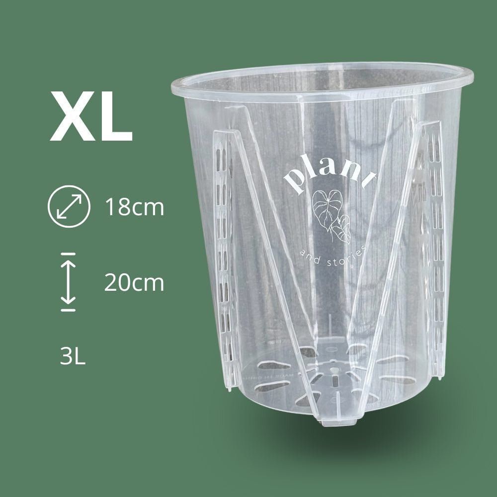 Pot aracées transparent - pot de culture transparent pour plantes - pot de 18cm - x10 unités