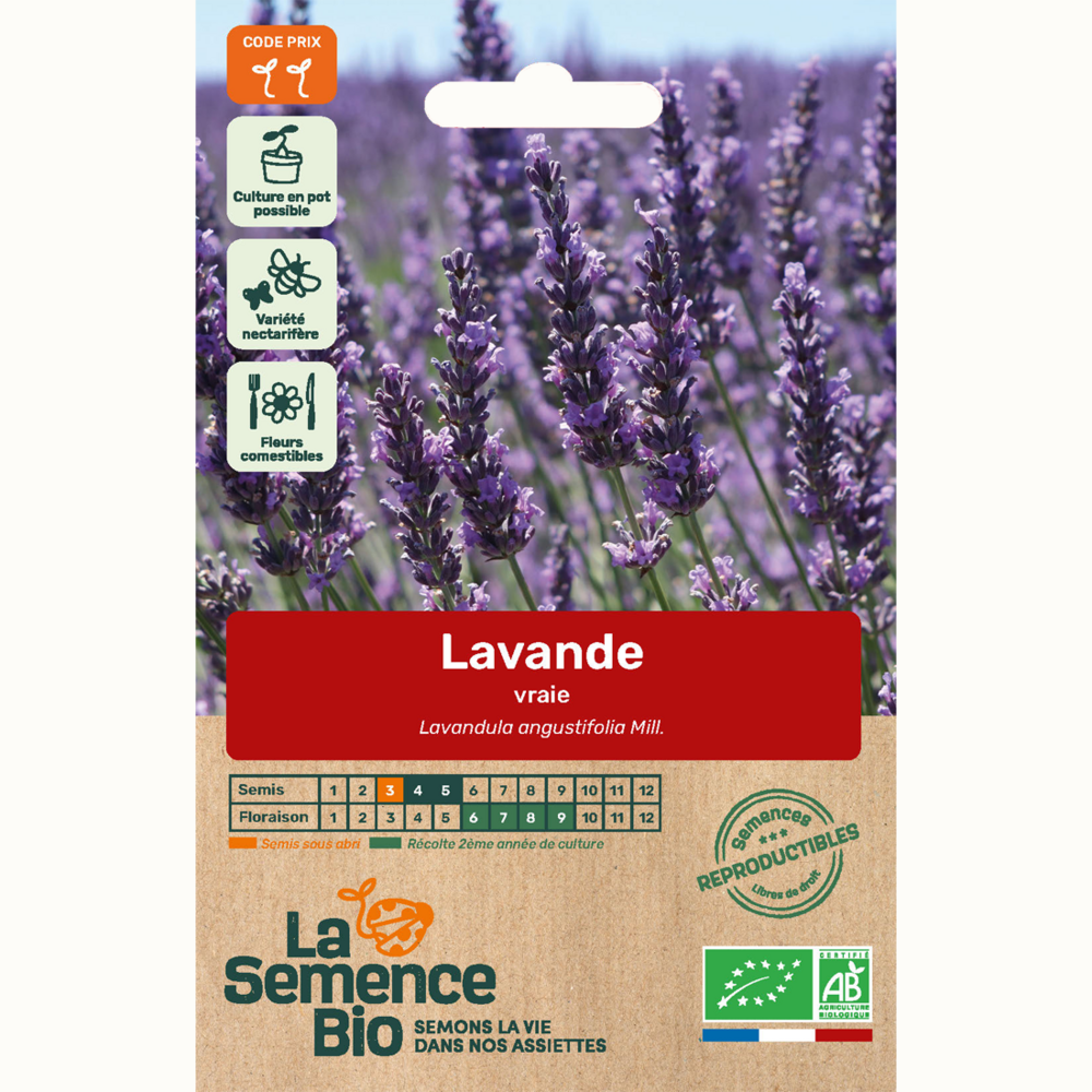 Lavande vraie - graines bio