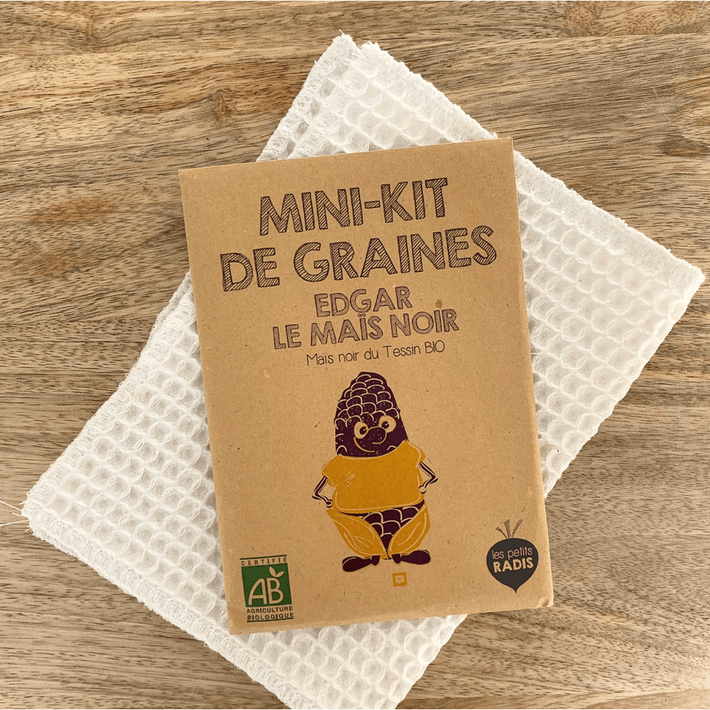 Mini kit de graines - edgar le mais noir