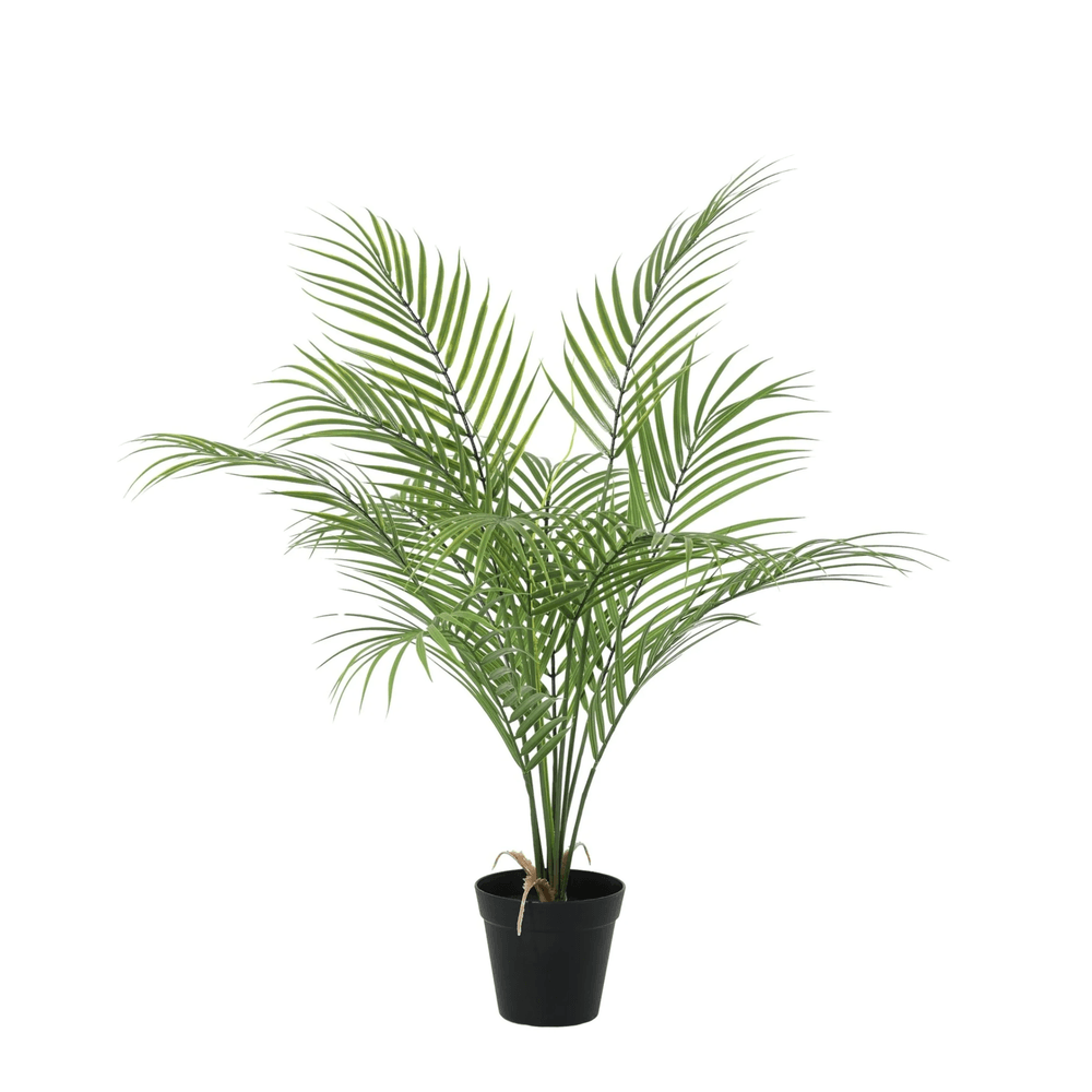 Palmier kentia - 65cm - ø15cm - plante artificielle
