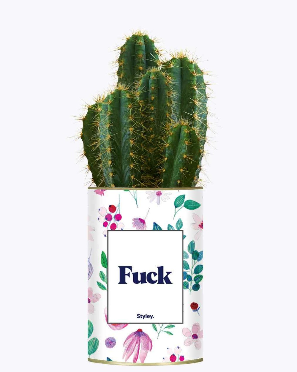 Plante personnalisée - fuck - cactus