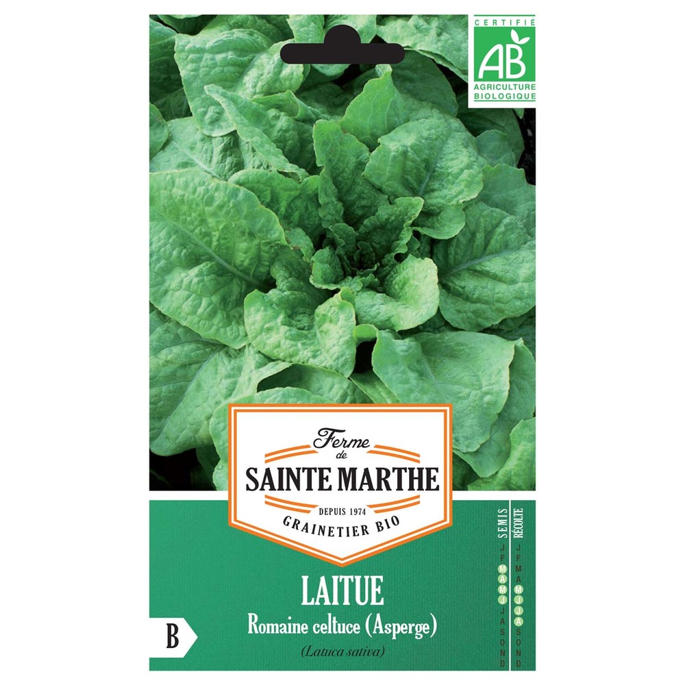 Laitue chinoise, laitue asperge le sachet de 400 graines environ
