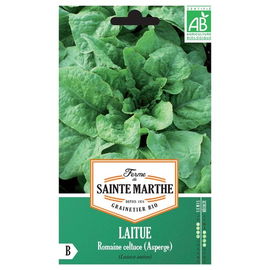 Laitue chinoise, laitue asperge le sachet de 400 graines environ