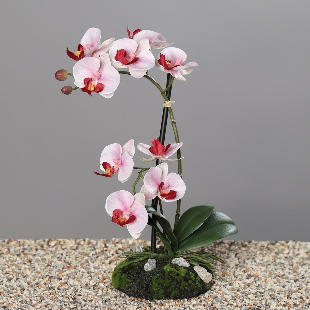 Orchidee factice 2 hampes sur motte h33cm 9 fleurons tissu rose-crème - couleur: