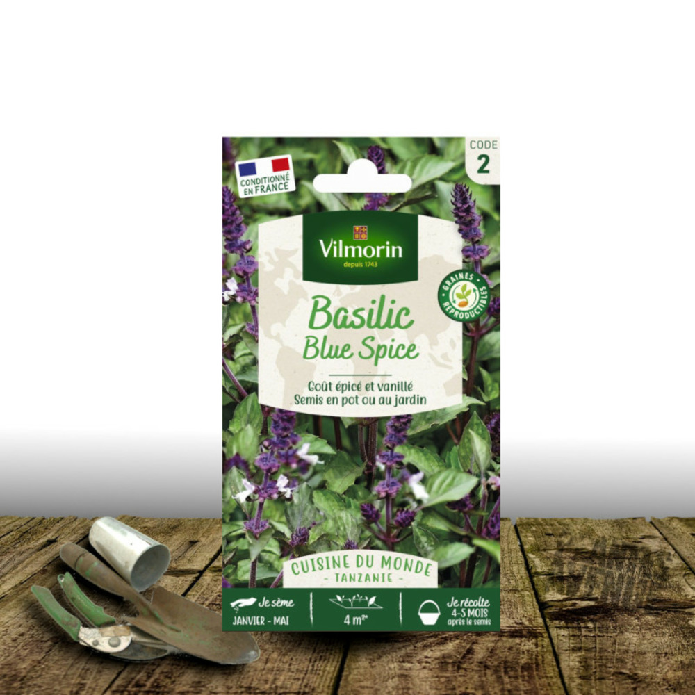 Graines de basilic blue spice - vilmorin sachet